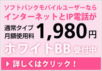 ホワイトBB受付中!